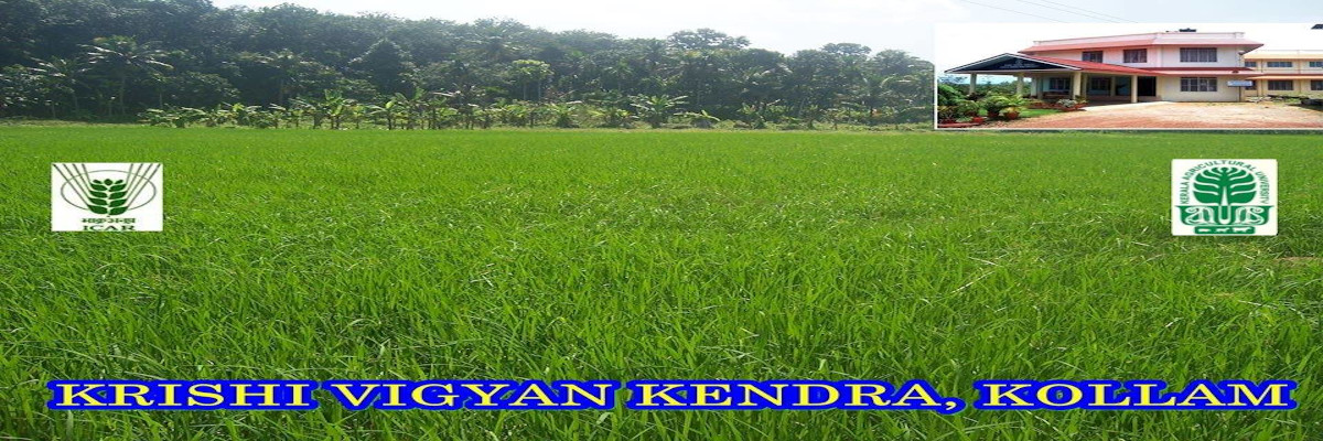 Krishi Vigyan Kendra, Kollam | Directorate of Extension, Kerala ...